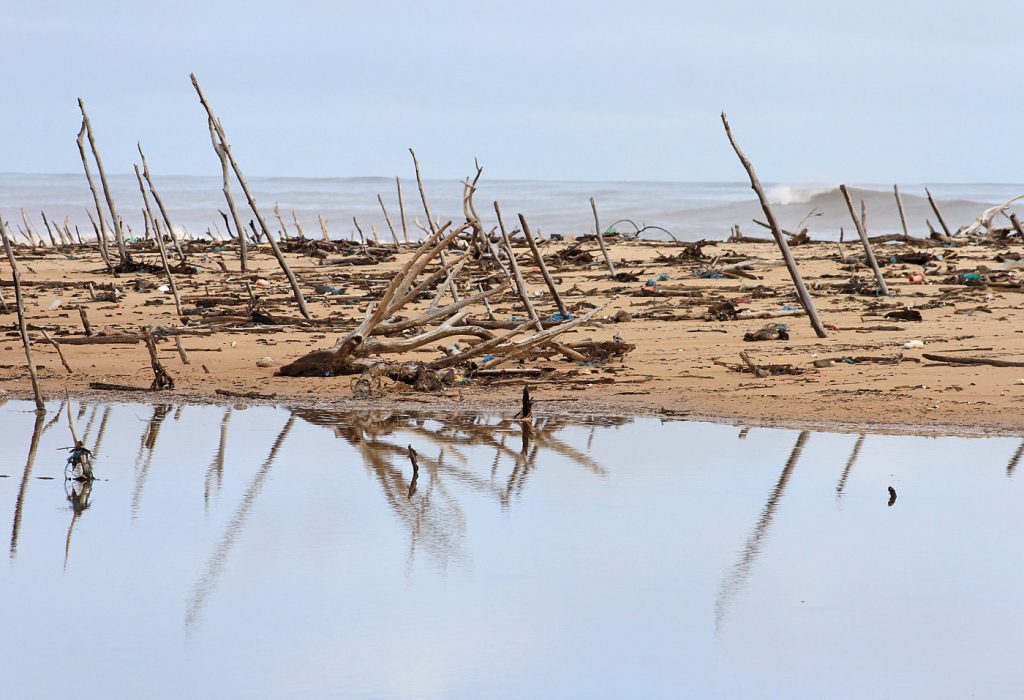 Ilha dos Poldros, Piauí