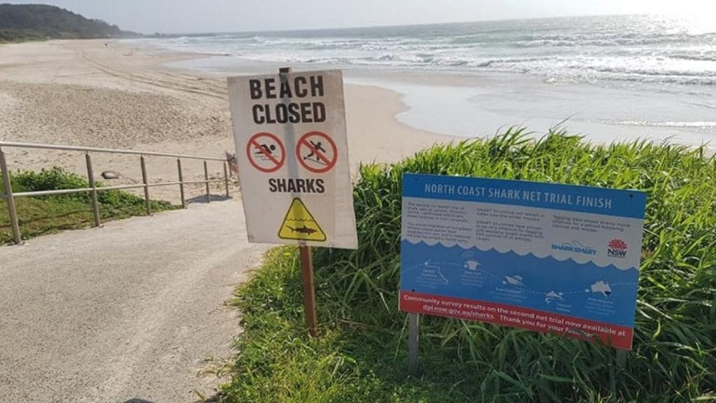 Shelly Beach