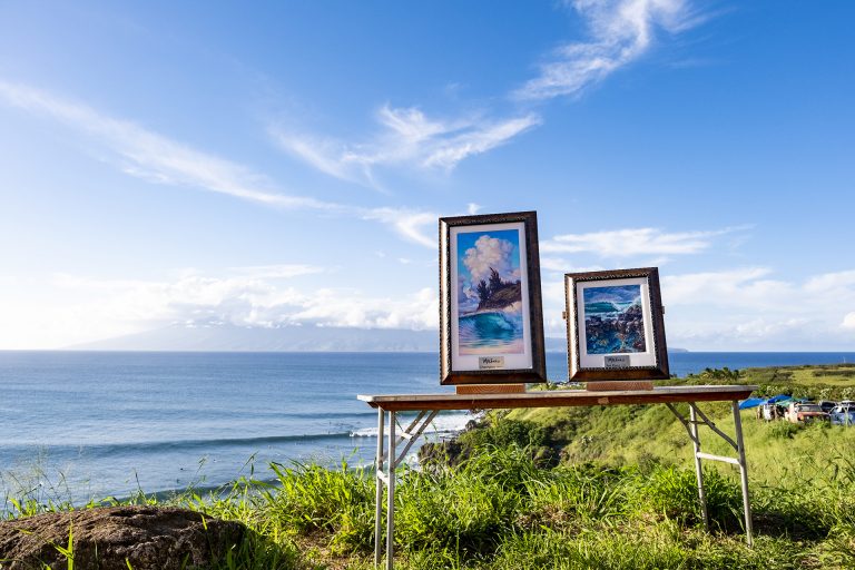 Honolua Bay, Maui, Havaí