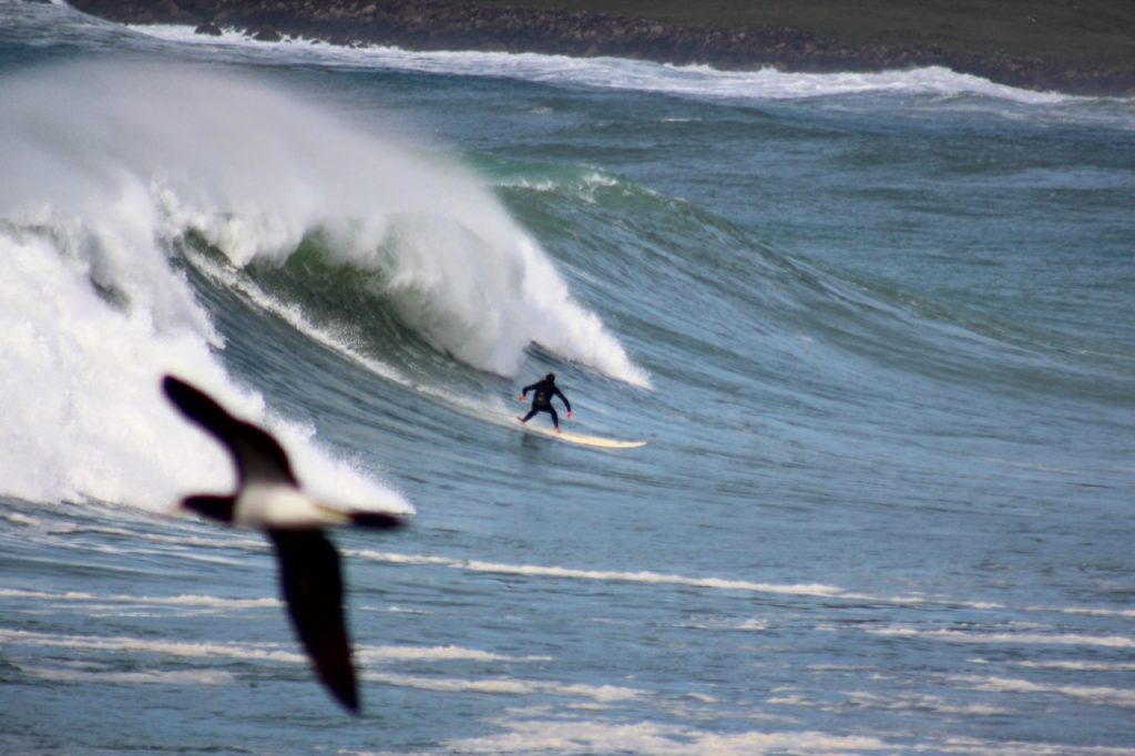 Fabiano Weinberg, Praia do Silveira (SC)