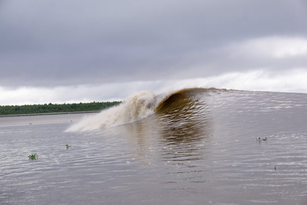 Pororoca do Rio Mearim, no Maranhão, é uma das melhores ondas de rio.