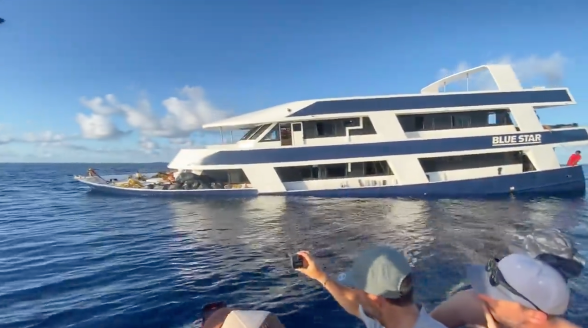 Blue Star Charter - Naufrágio nas Maldivas | Waves