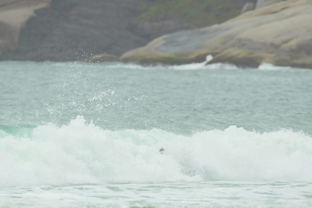 LayBack Pro 2022, Praia Mole, Florianópolis (SC)
