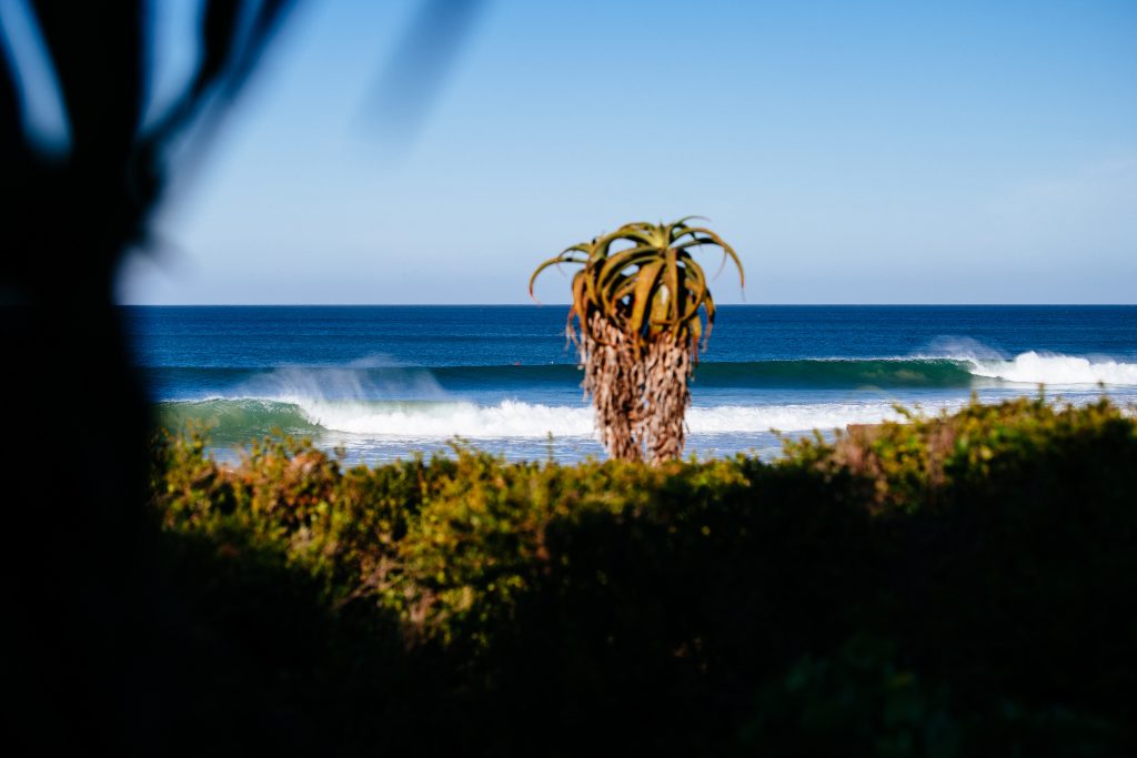 Open J-Bay 2022, Jeffreys Bay, África do Sul