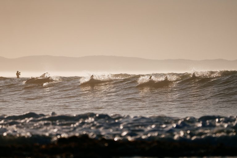 Open J-Bay, África do Sul