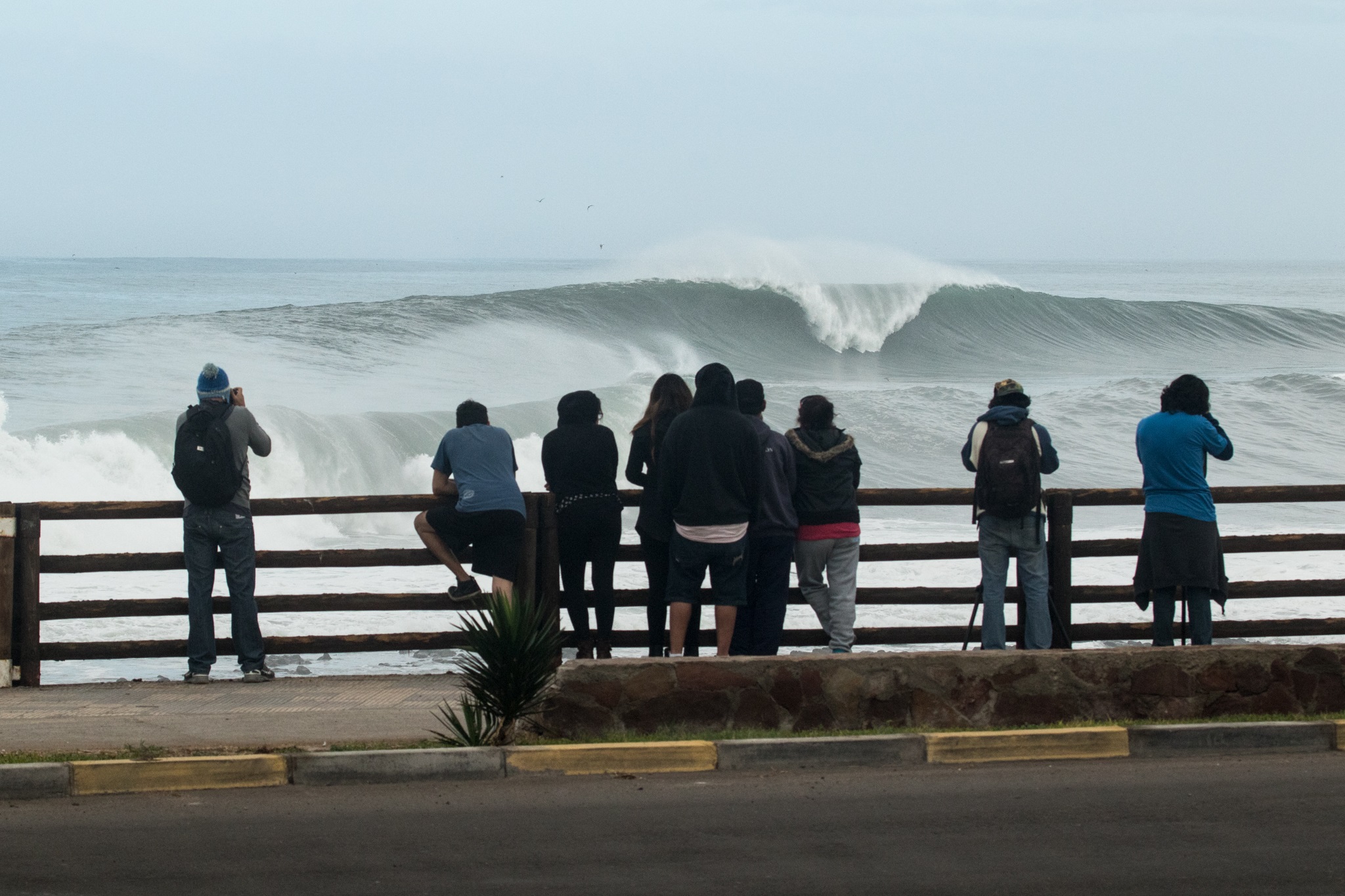Arica Pro Tour, El Gringo