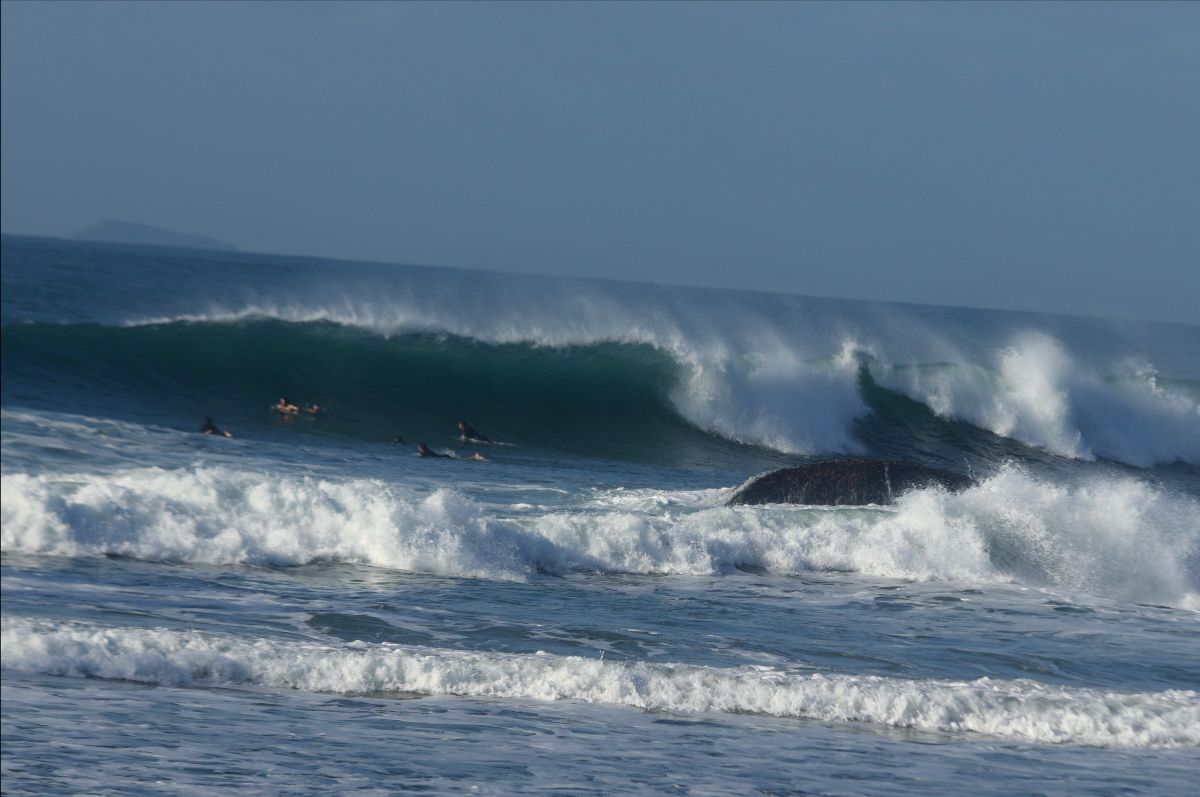 Praia da Joaquina (SC)