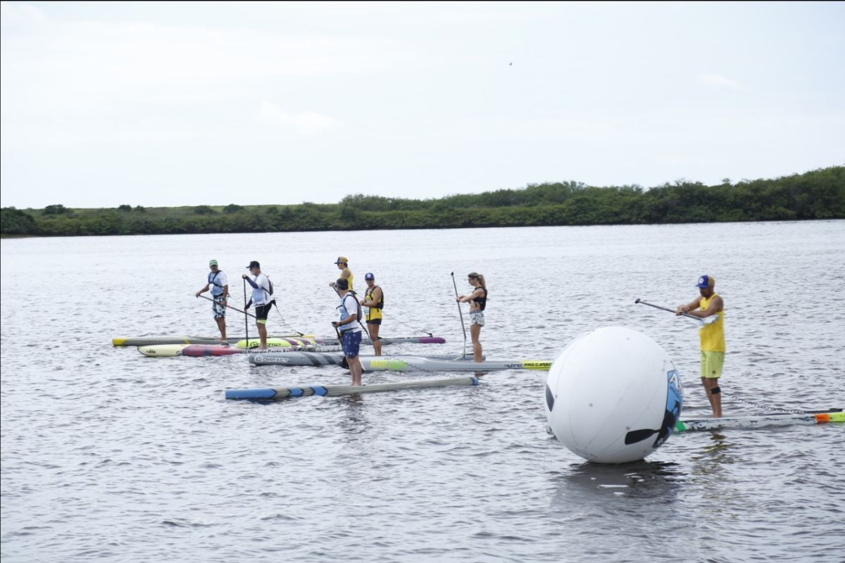 Araquari Festival