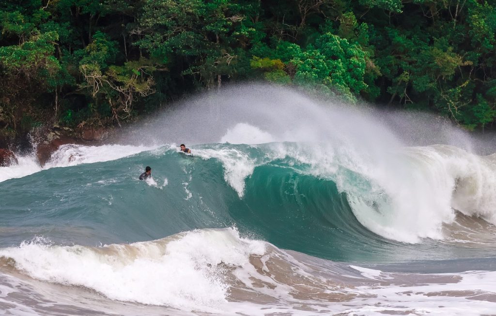 Extremo Norte de Ubatuba (SP).