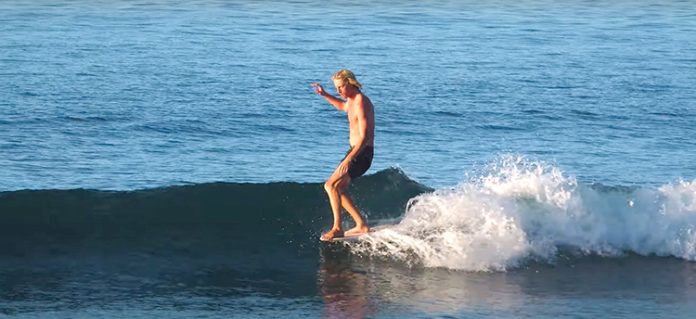 Skunk Juice - Suco de Kiwi logger | Waves