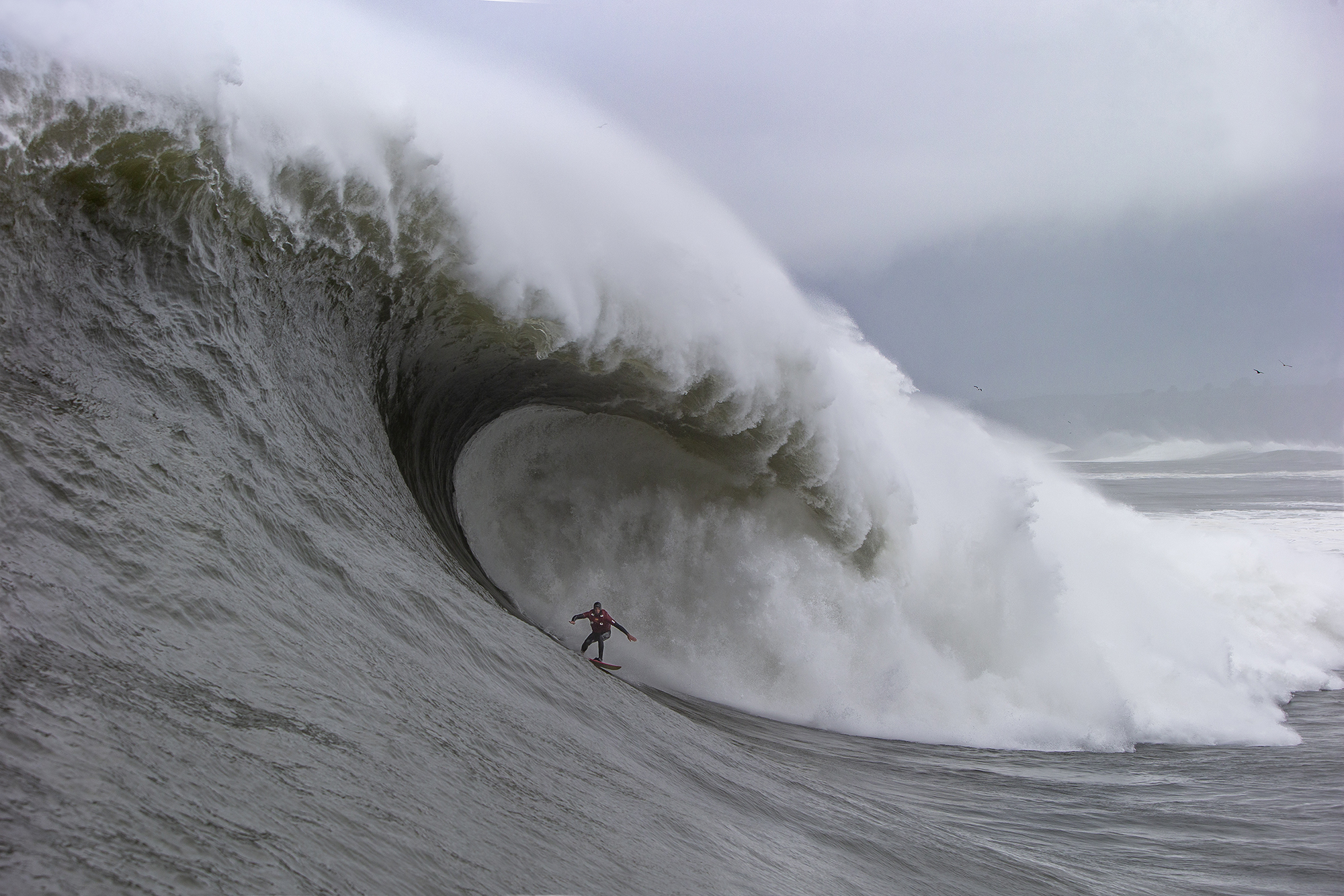 Peter Mel na melhor foto da temporada 24/25, com tubo em Mavericks, Califórnia.