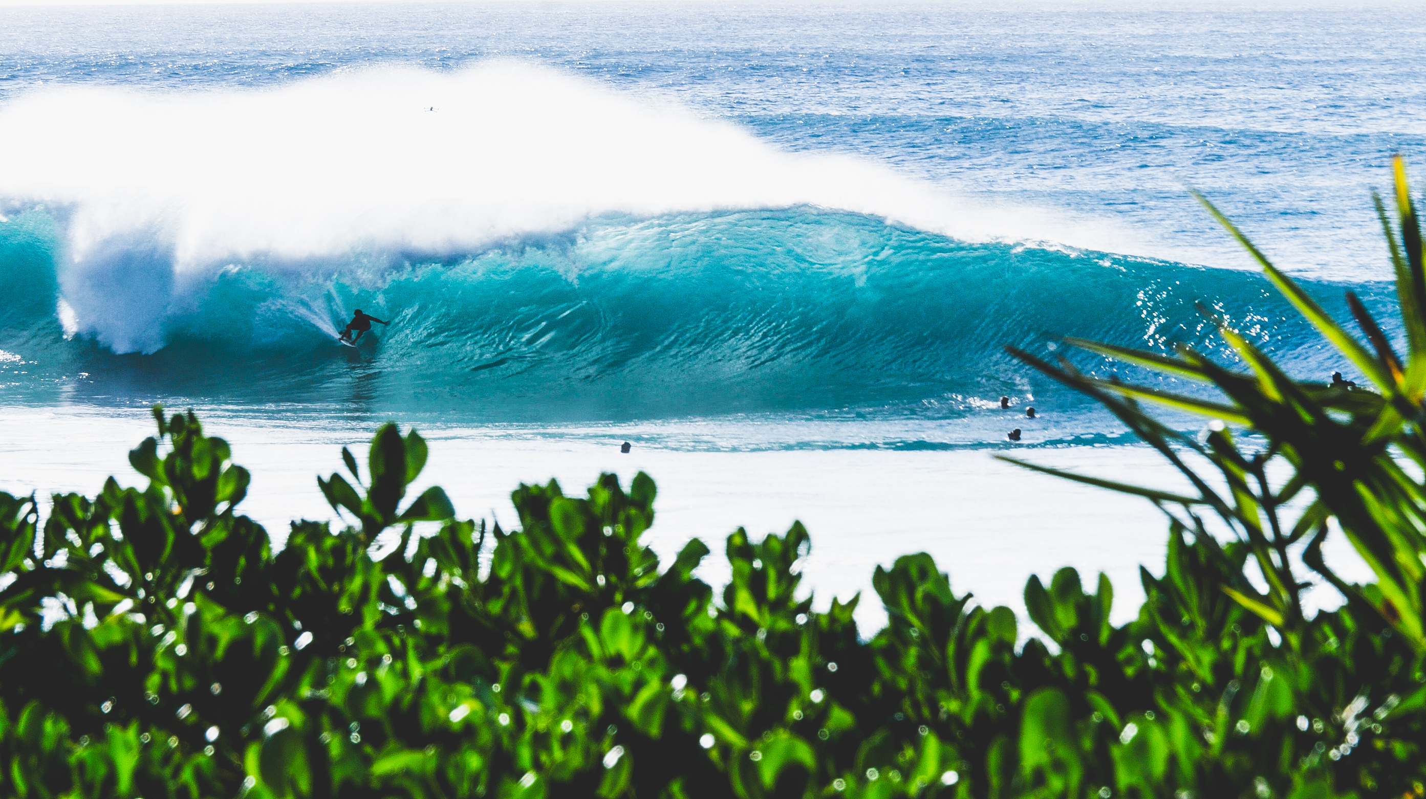North Shore da ilha de Oahu, Havaí