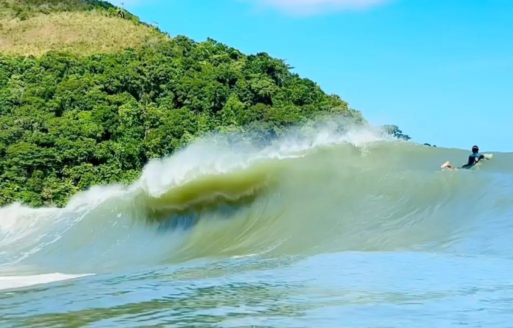 Paúba, São Sebastião (SP).
